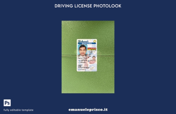 stile verificato USA Delaware con modello frontale photolook con patente di guid